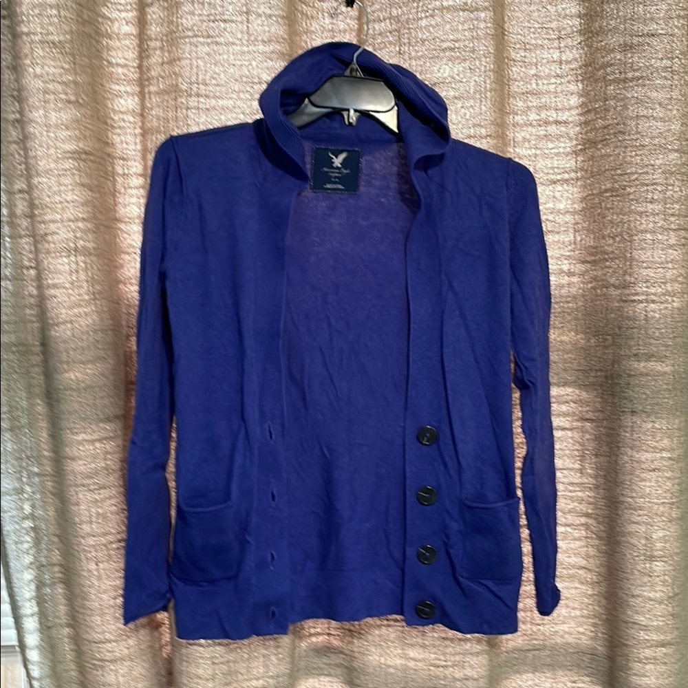 American Eagle outfitters Blue Sweater with Button Detail with hood